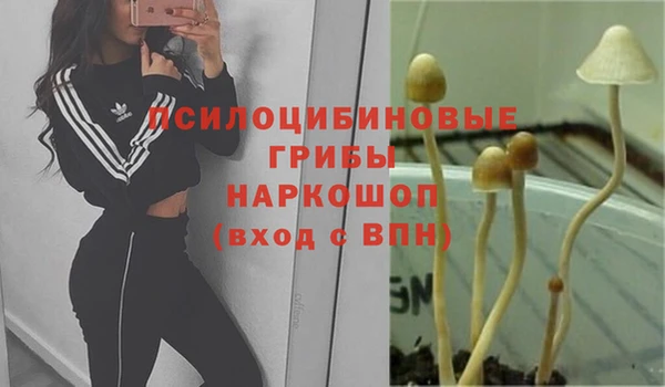 ГАЛЛЮЦИНОГЕННЫЕ ГРИБЫ Армянск